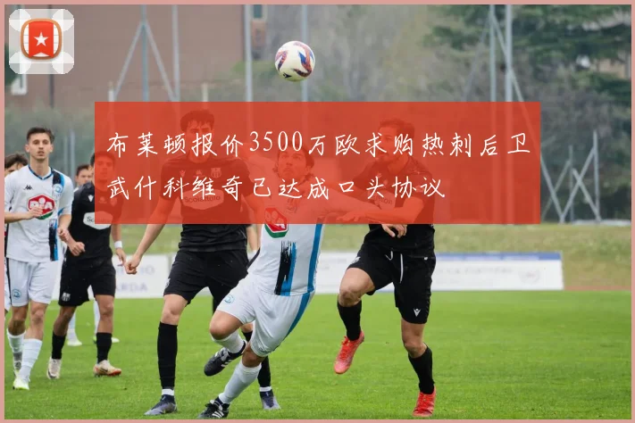 布莱顿报价3500万欧求购热刺后卫武什科维奇已达成口头协议