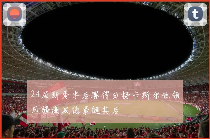 24届新秀季后赛得分榜卡斯尔独领风骚谢泼德紧随其后