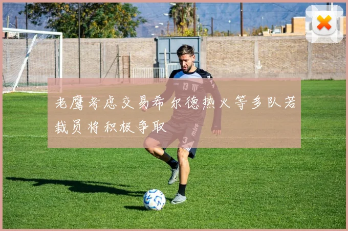 老鹰考虑交易希尔德热火等多队若裁员将积极争取